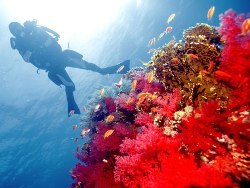 Safaga Red Sea Safaga Red Sea